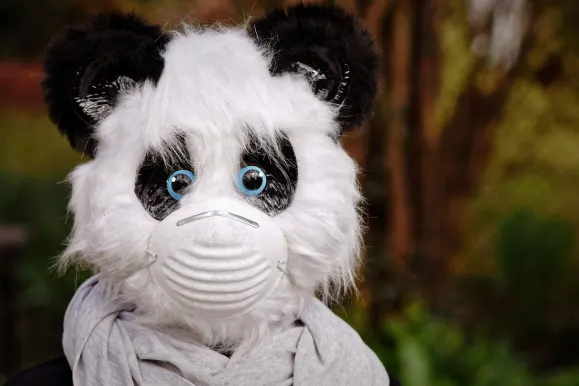 ビーイーティー9 カジノ サポート